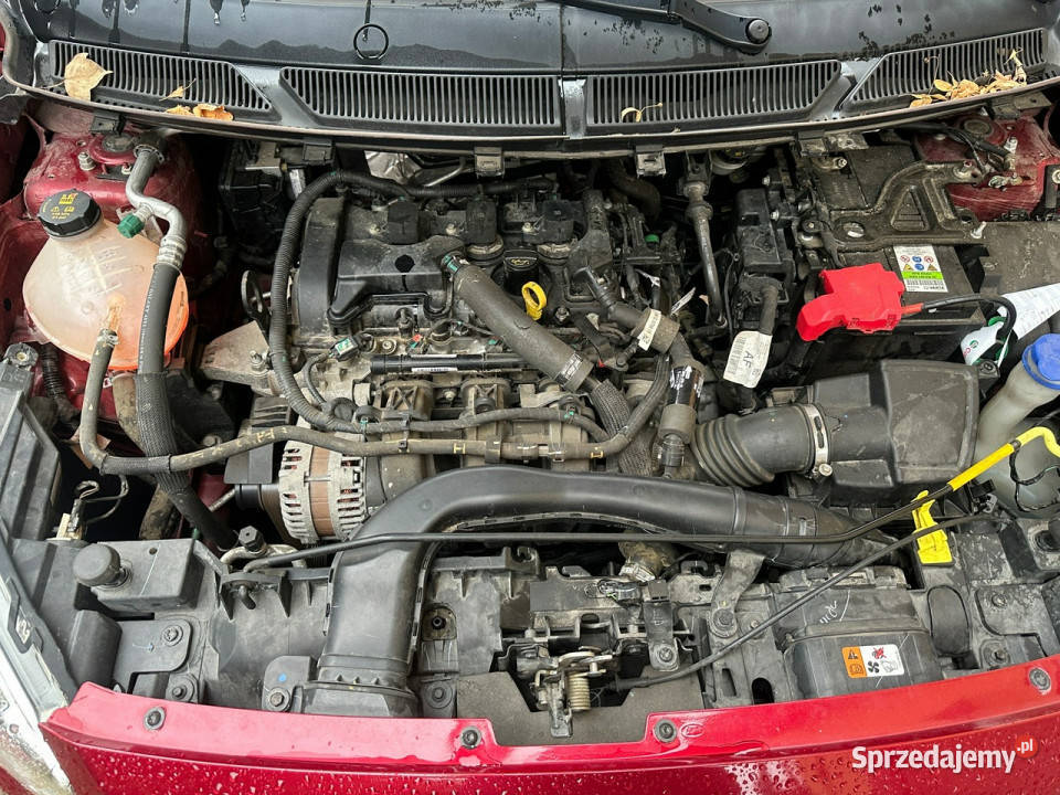Ford Ka Polski salon rej 19podg szyba czołówa i KA