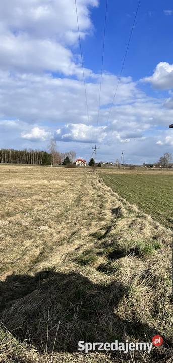 Kompleks działek przylegających o pow ok 2ha