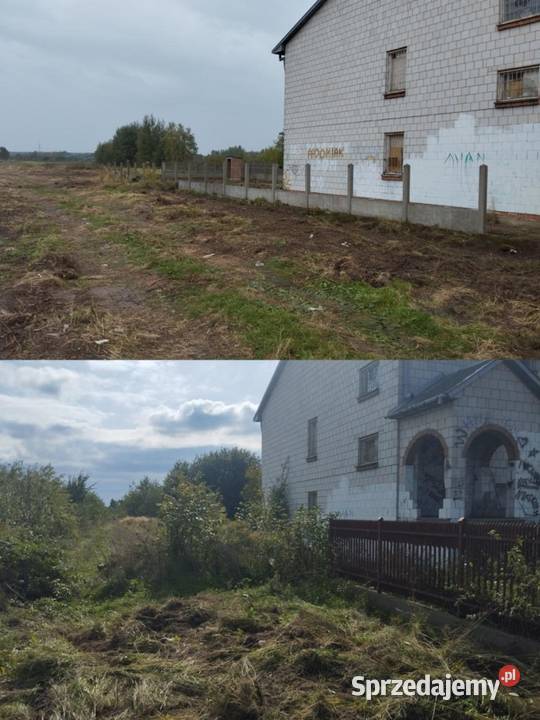 Usługi ogrodniczo porządkowe Radom