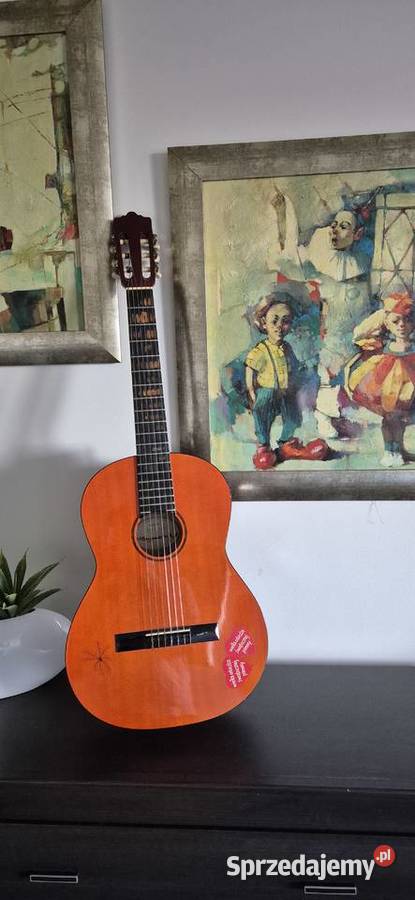 Używana Gitara Dean PlayPC z pokrowcem Częstochowa sprzedam