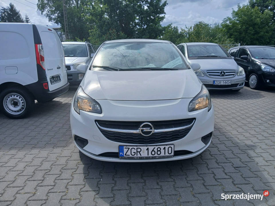 Opel Corsa 12i klima 5 drzwi stan E 2014 Hatchback Gryfino