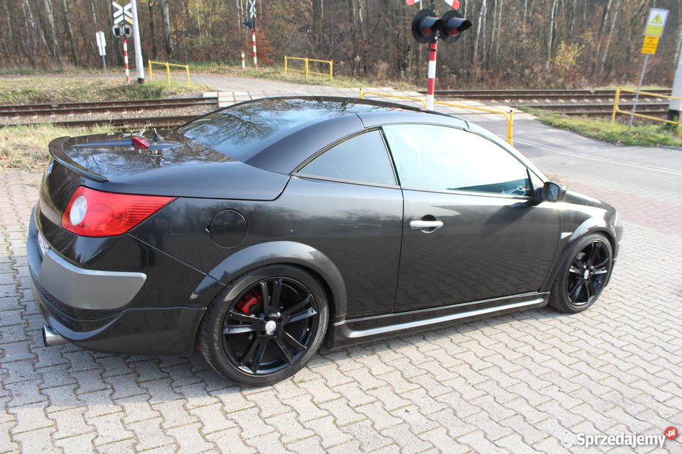 Renault Megane Kabrio Kardan 20 turbo 163 2005r 163KM śląskie Radlin