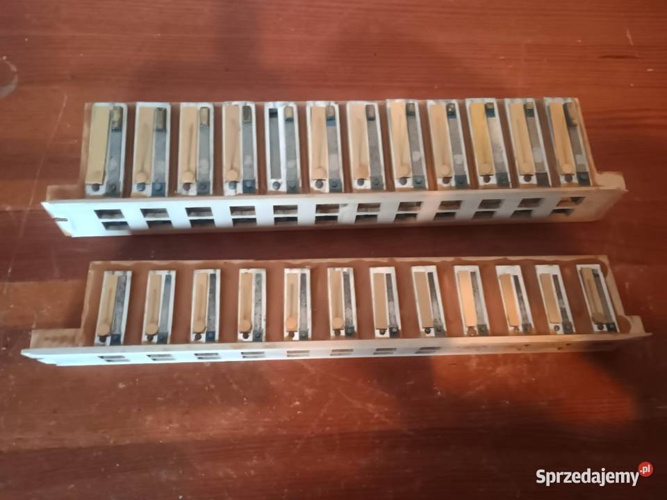 Akordeon Carmen głosy basowe