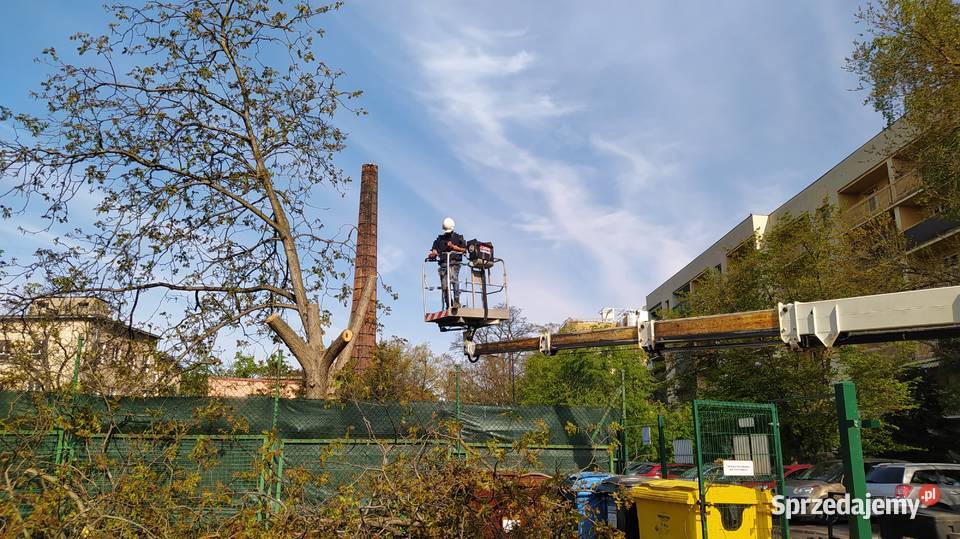 Podnośnik koszowy wynajem usługi zwyżka wycinka