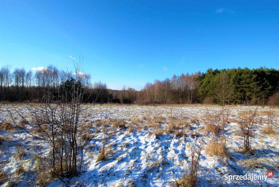 Działka Ćmińsk 6600m 34zł/m2 świętokrzyskie