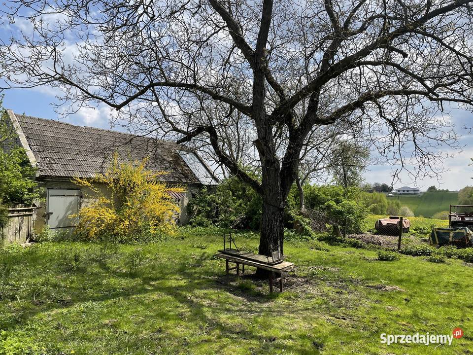 Dom z dużą działką na sprzedaż powiat staszowski Kiełczyna