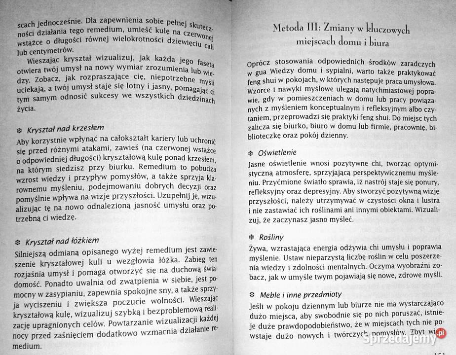 Podręcznik feng shui Wiedza i praktyka Daniel lubelskie Chełm