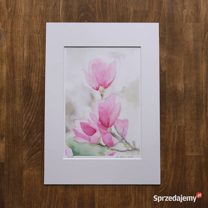 Ulotna magnolia akwarela w passepartout format łódzkie
