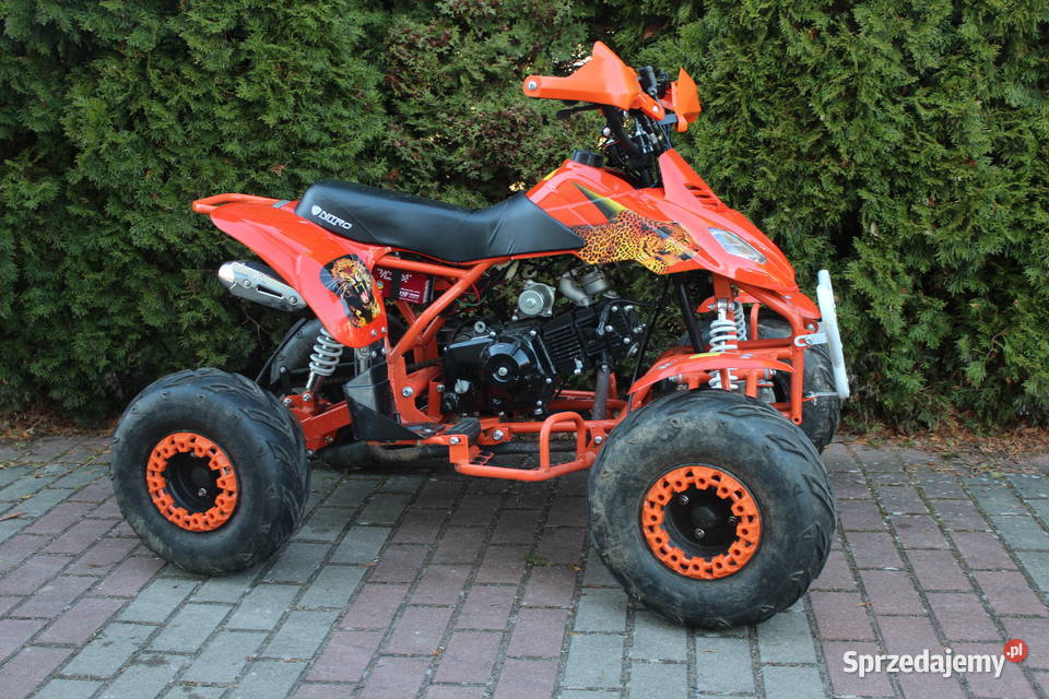 Quad pojemność 110 125 cc czterosuw benzyna Rok produkcji 2022 Goleniów
