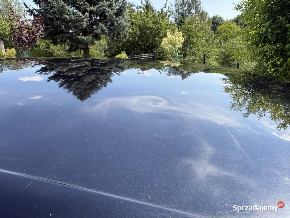 Volkswagen Golf VI 20 TDI 2009r 110 Golf śląskie Niegowoniczki