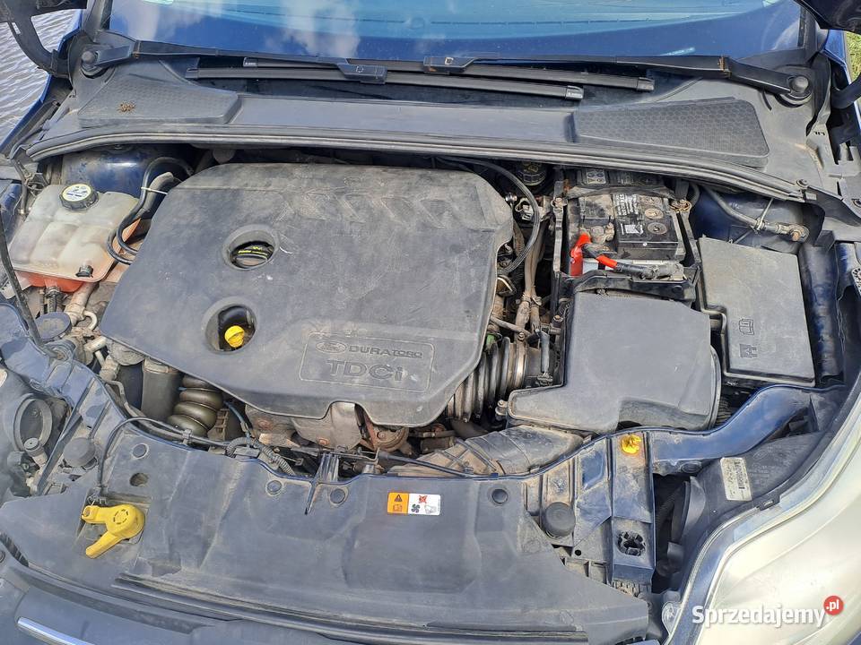 sprzedam ford focus mk3 16tdci 115 polski salon 115KM Rawa Mazowiecka sprzedam