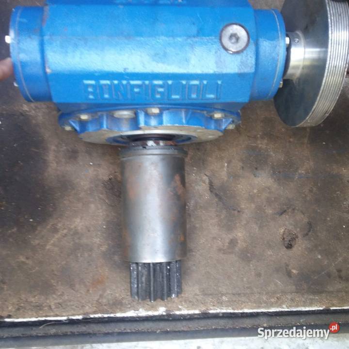 Przekładnia kontowa solidna Lublin