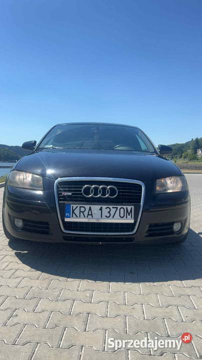 Audi S3 20 TDI 2006 Gródek nad Dunajcem