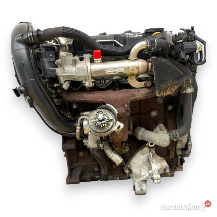 SILNIK RHJ Citroen C4 Grand Picasso 20 HDI 136 Chełm
