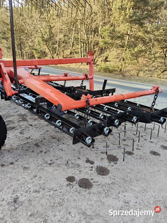 CHWASTOWNIK Pielnik BRONA QUIVOGNE 6m 2008 wielkopolskie Konin