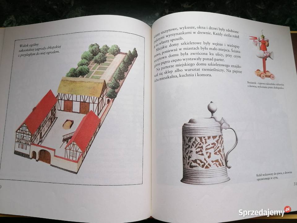 Dach głową Rok wydania 1988 sprzedam