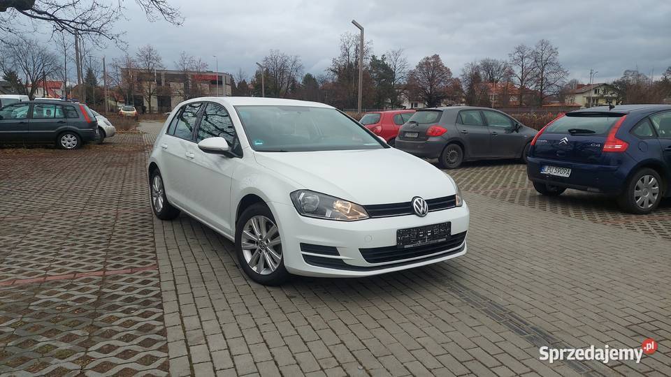 100Bezwypadkowy Tdi 110 Oryginalny lakier 184000km Puławy
