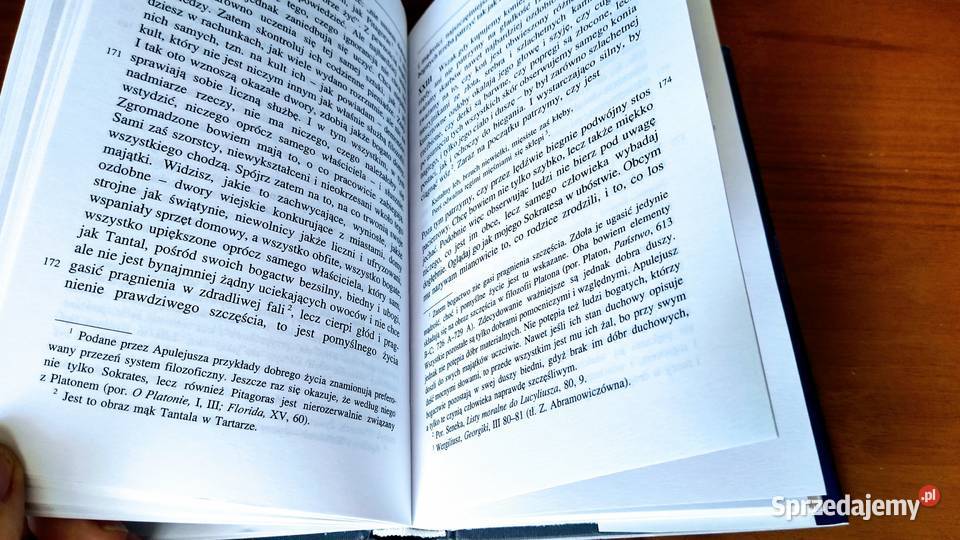 O bogu Sokratesa O Platonie i jego nauce O studia pomorskie Gdańsk sprzedam