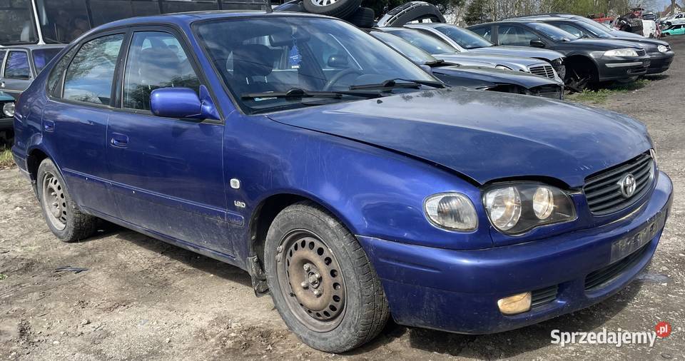 Toyota Corolla VIII E11 Lift FL 19 kolor 8L5 NA Piotrków Trybunalski