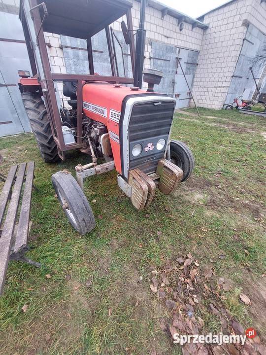Ciągnik Massey Ferguson 255 Stara Kornica