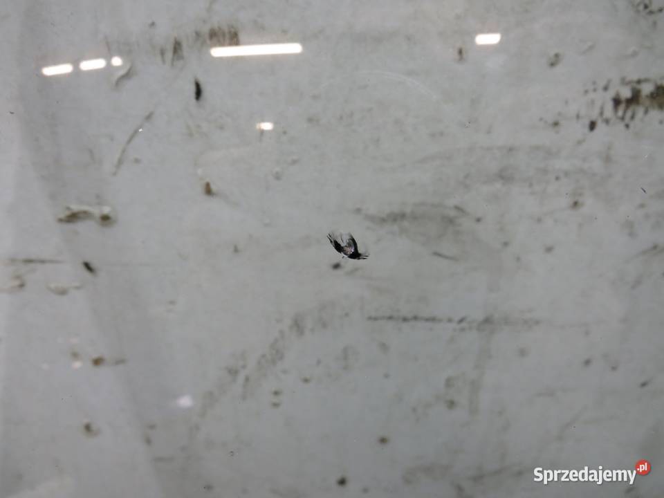 SZYBA CZOŁOWA SENSOR OCTAVIA III 3 osobowe sprzedam