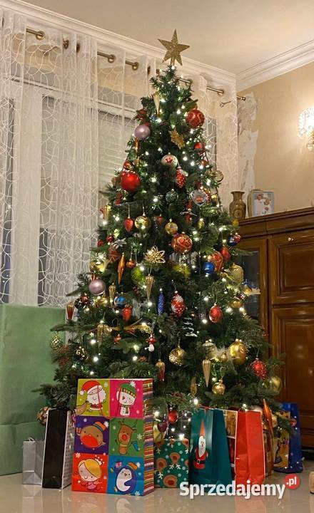 Piękna gęsta choinka 180m Pozostałe Warzymice