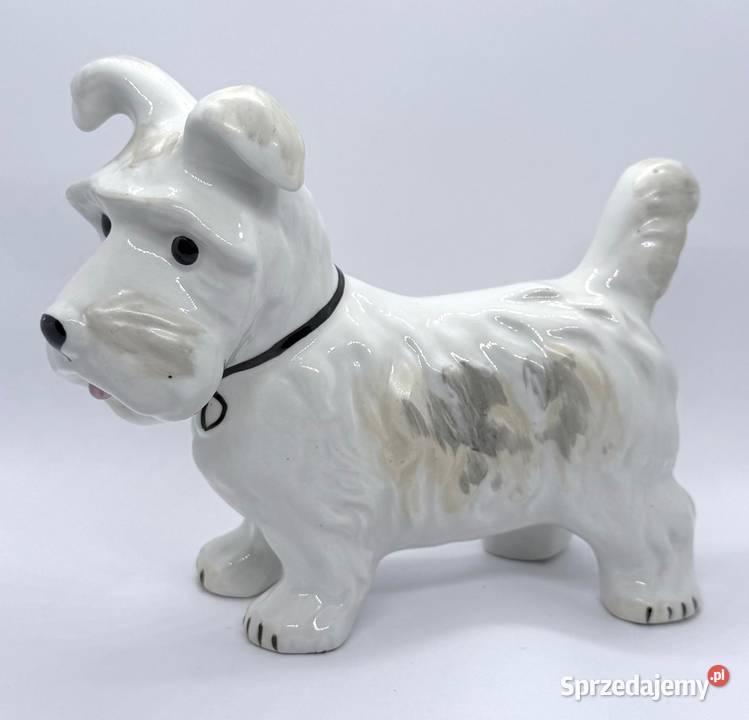 Figurka pies Terier Szkocki porcelana Alba IULIA Kraków