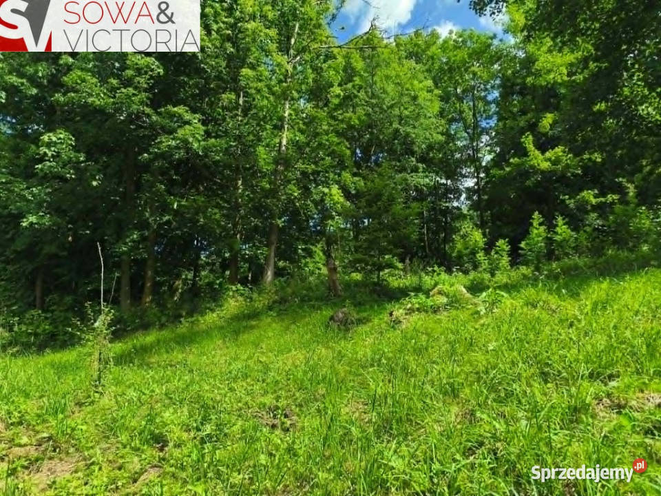 Działka rolnoleśna Stare Bogaczowice