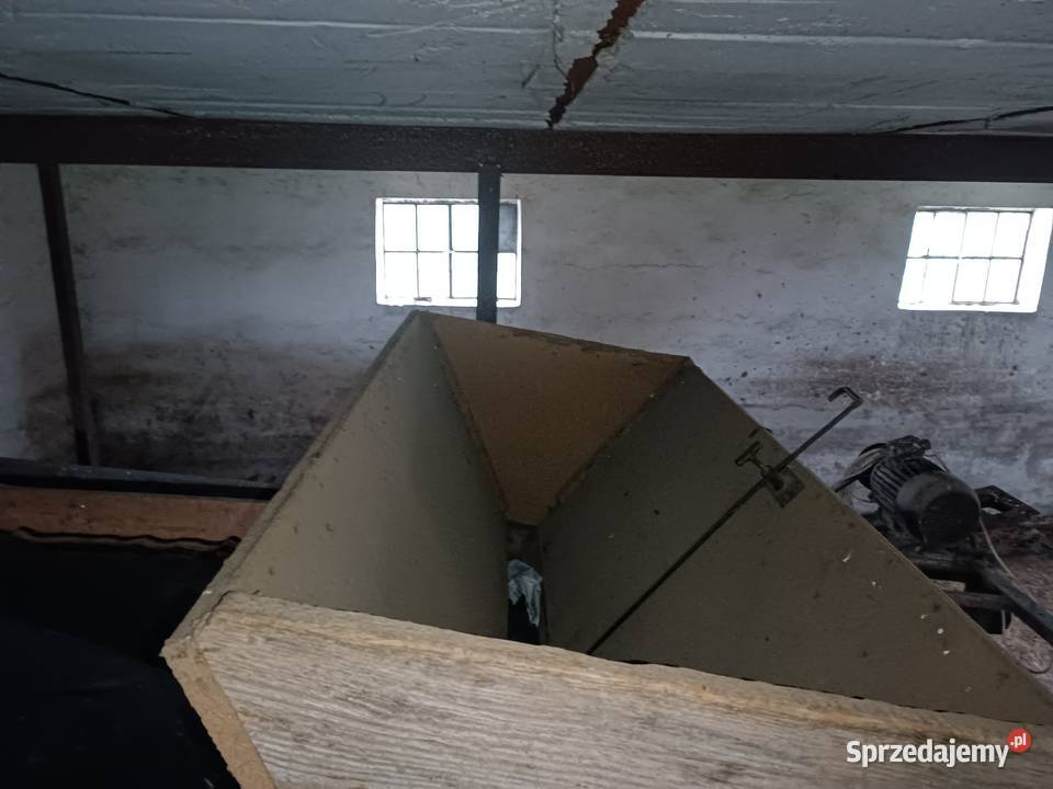 Czyszczalnia do rumianku Antopol sprzedam