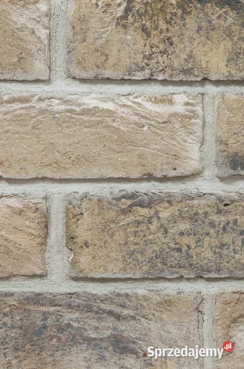 Płytki klinkierowe Taiga Warszawa