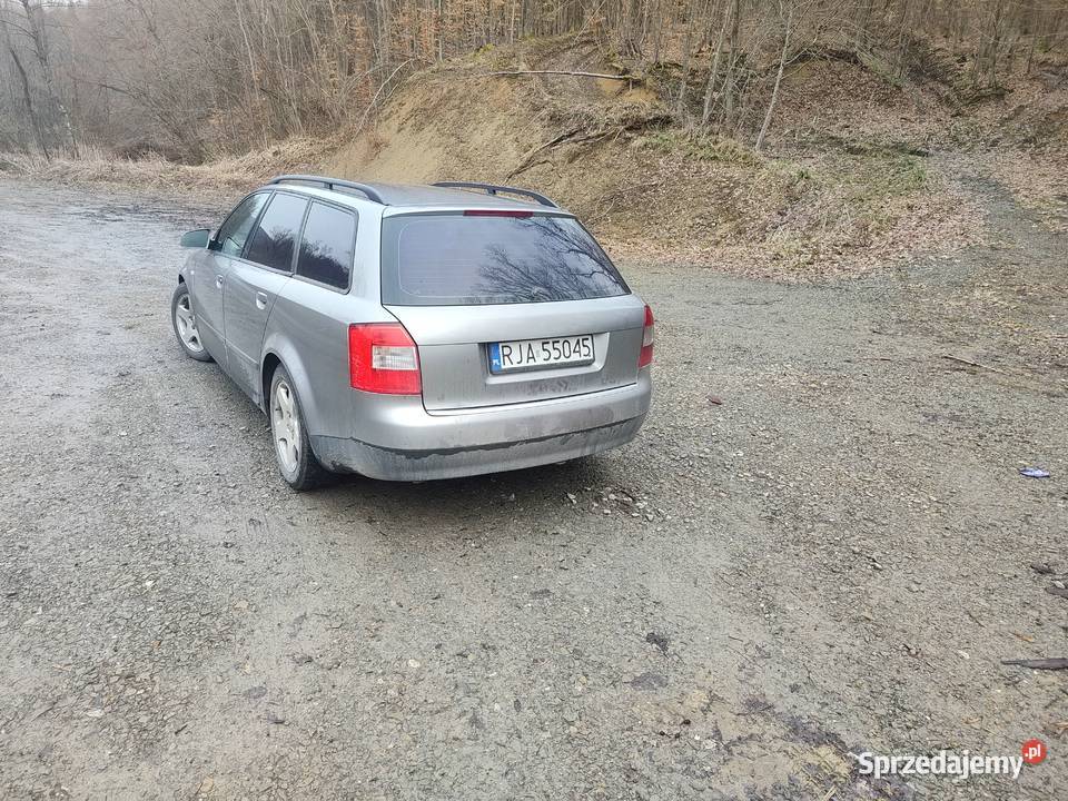 Audi A4 B6 Pruchnik