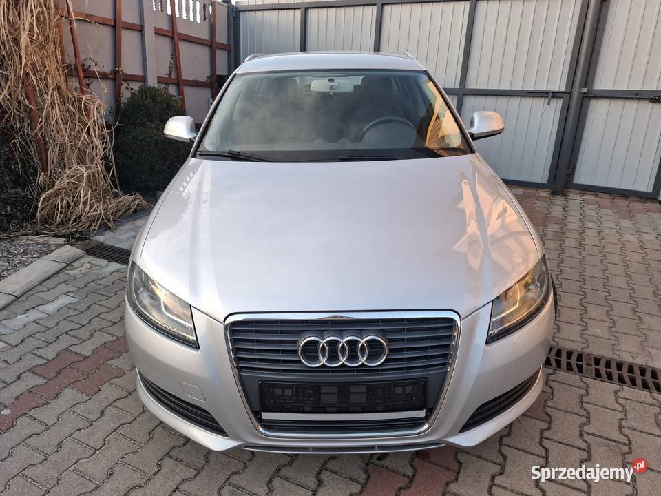 Audi a3 16 MPI 102 SerwisBezwypadekZadbany Pawłów