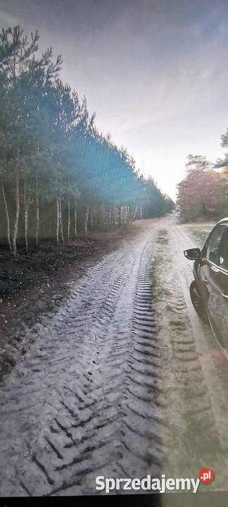 Działka leśna Kiełczew Smużny Czwarty