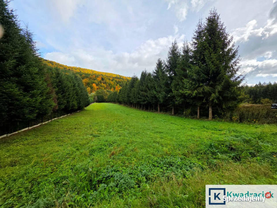 Grunt 41000m2 Łączki