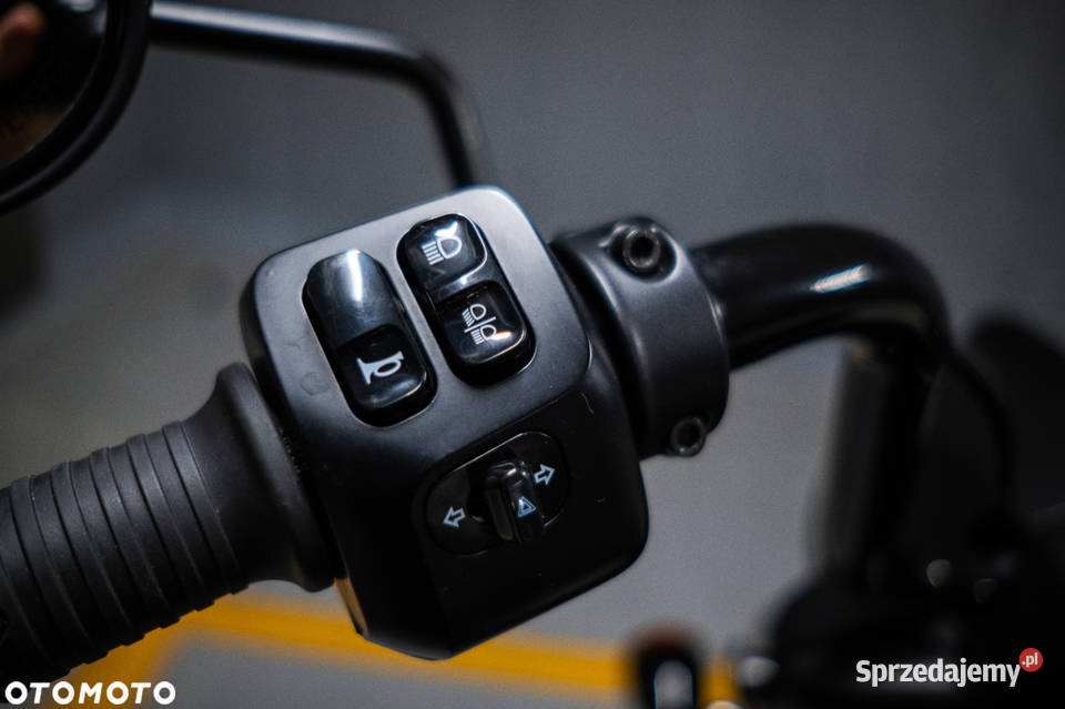 Indian Springfield Indian Springfield Dark Horse Warszawa