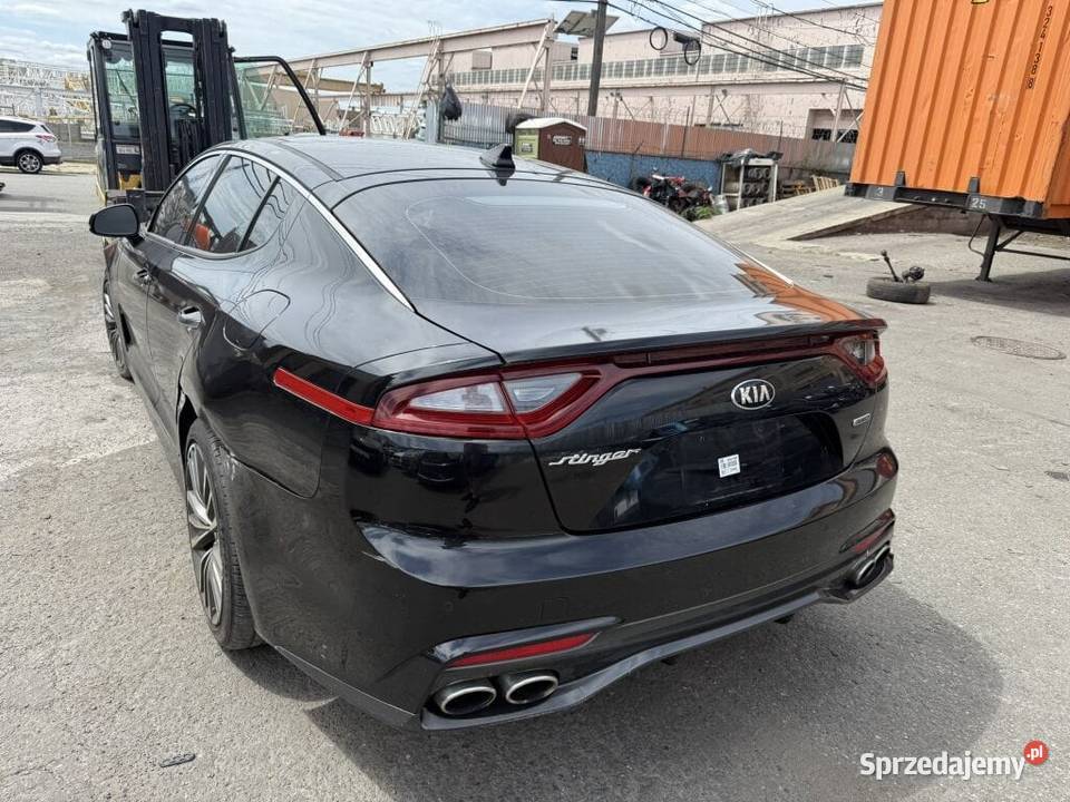 Kia Stinger 20 AWD 2018 uszkodzona w drodze do Stinger dolnośląskie Żórawina
