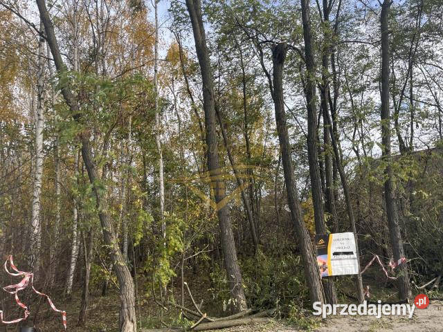 Działka Książenice 4046m2