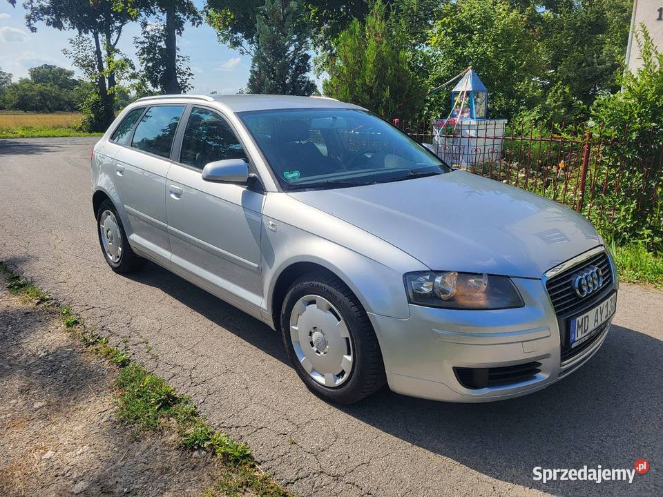 Audi A3 Klima 5d 16mpi Super stan 2007r 255000km mazowieckie Gostynin sprzedam