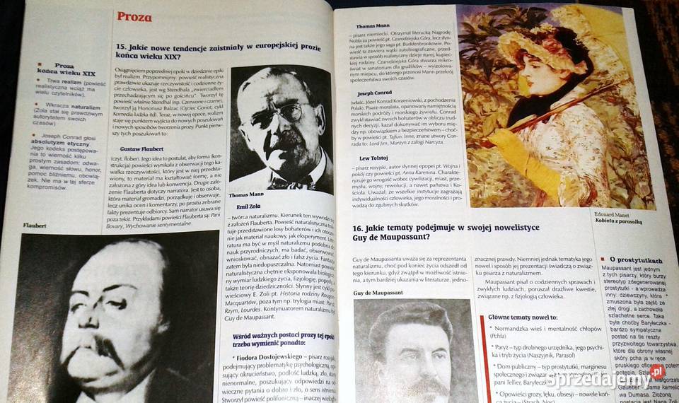 Cogito Język polski 6 Pytania i odpowiedzi Pozostałe Chełm sprzedam