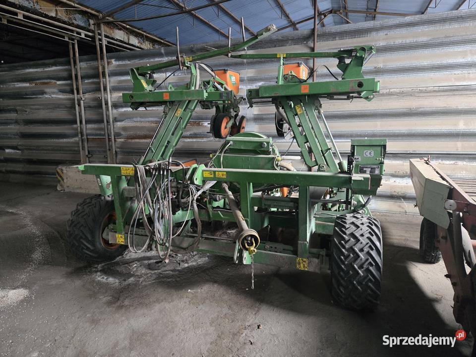 Siewnik amazon opolskie Nysa