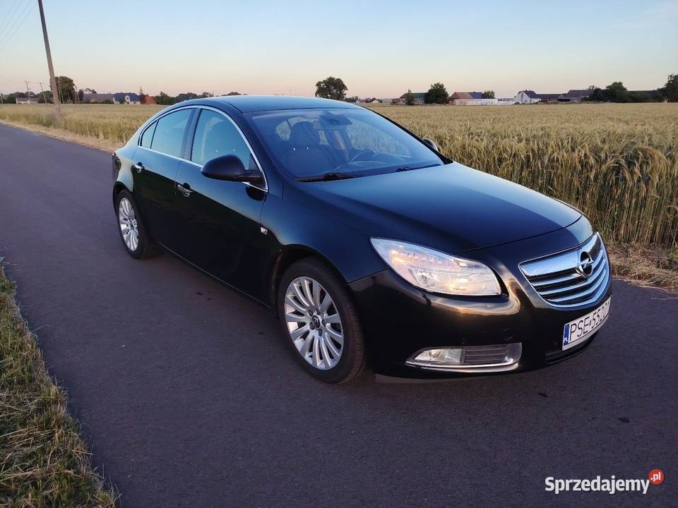 Opel Insignia 20 130 2010 Charłub