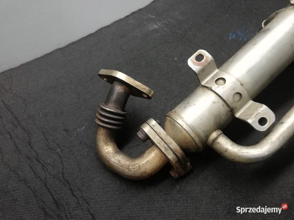 Volkswagen 20 TDI chłodnica spalin Swarzędz