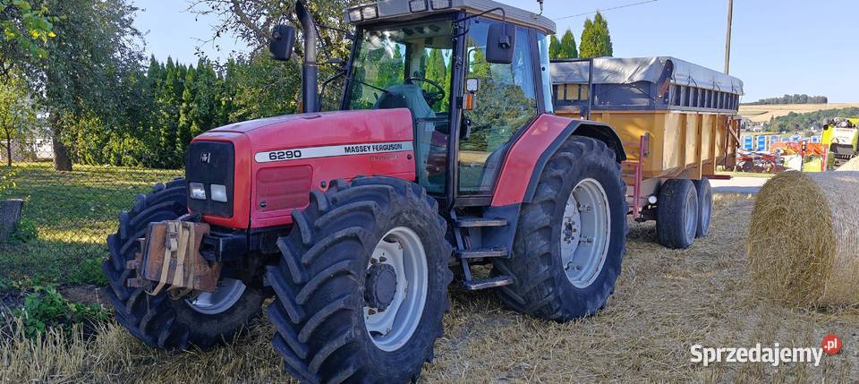 Massey Ferguson 6290 141 świętokrzyskie Kijany