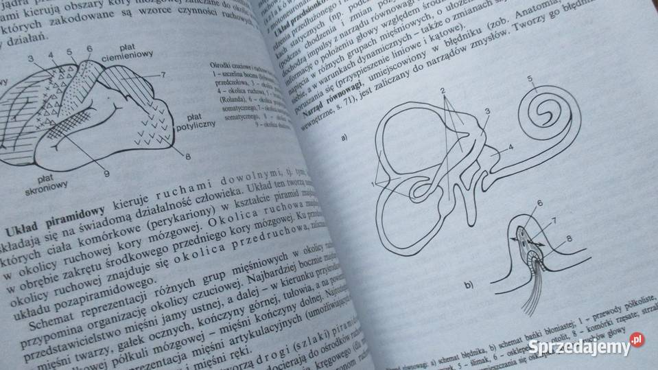 Encyklopedia zdrowia medycyna zdrowie Łódź sprzedam