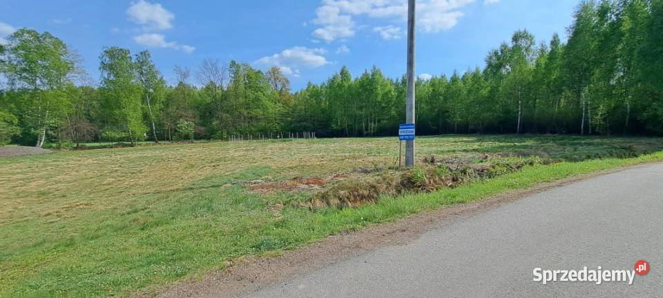 sprzedaży gruntu 17500m2 RudyRysie 65zł/m2 Sprzedaż Grunty i działki Rudy-Rysie