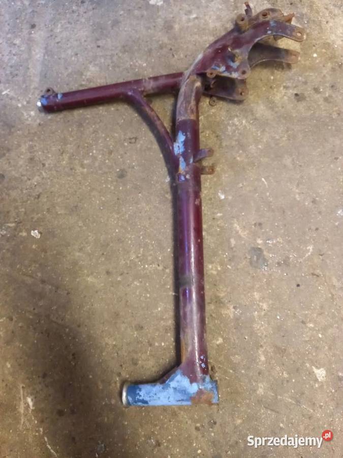 Rama komar sztywniak mazowieckie