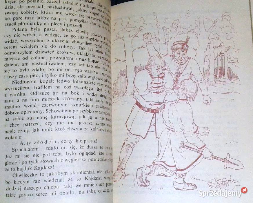 Oko Proroka czyli Hanusz Bystry i jego przygody Chełm