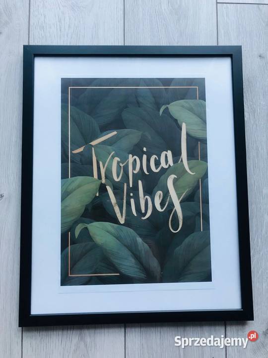 Plakat Obraz liście zielony tropikalny natura 42 odcienie zieleni Łódź