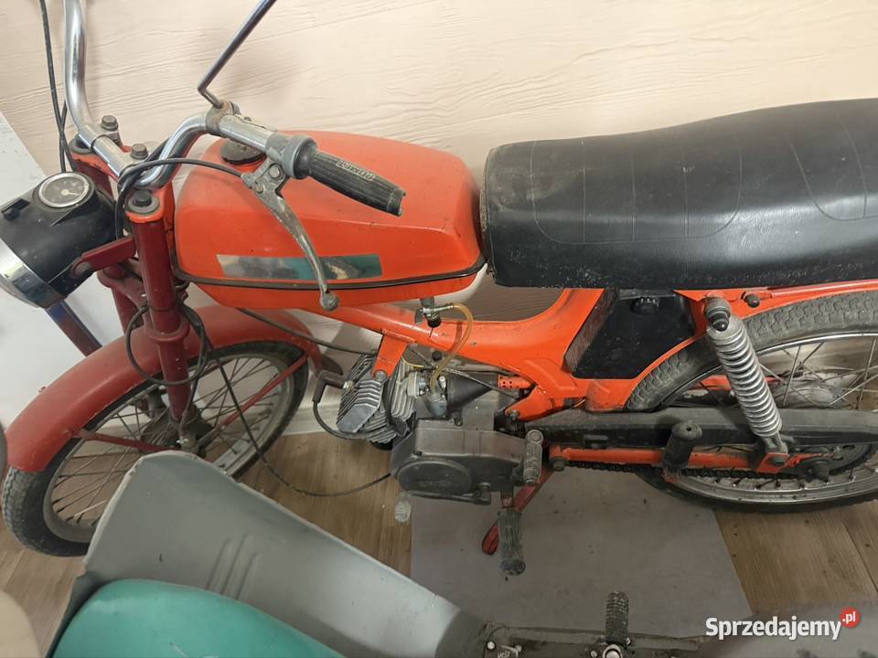 Sprzedam opłacony Kozy