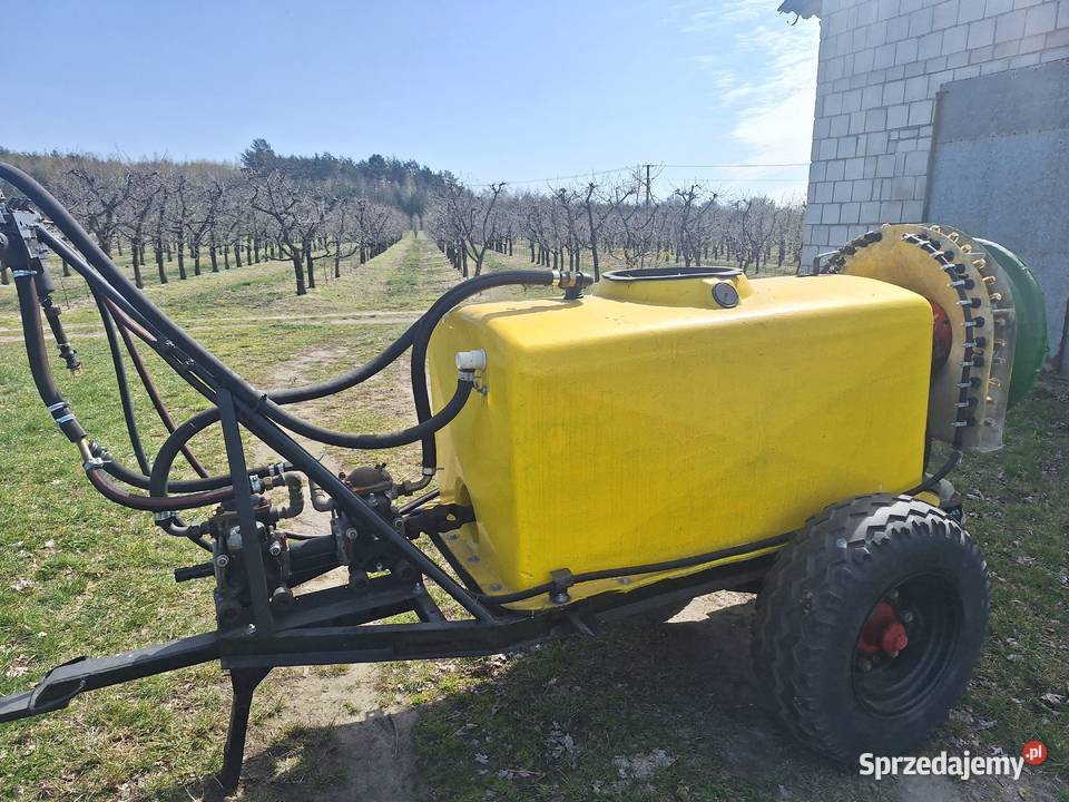 Sprzedam ślęze nieuszkodzony Nowe Miasto nad Pilicą